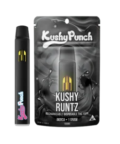 Kushy Punch 2G Disposable