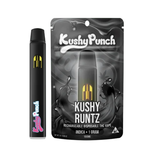 Kushy Punch 2G Disposable